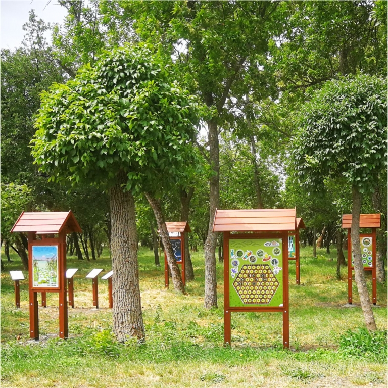 Interaktív tanösvénytáblák az udvaron - 2