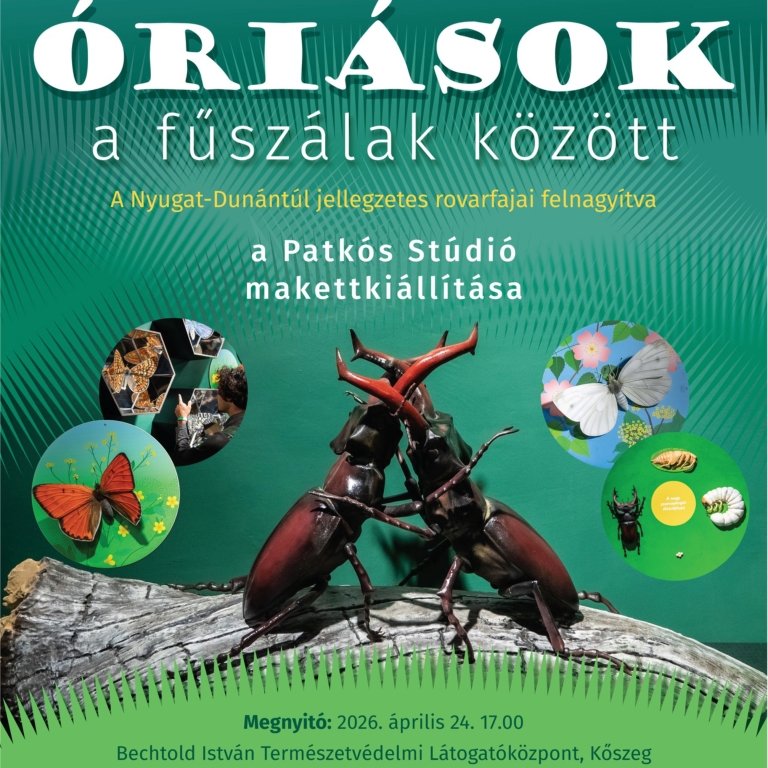 plakát
