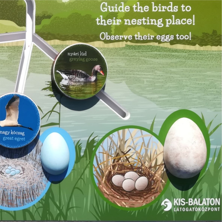 3D tojások tanösvény táblán - 2