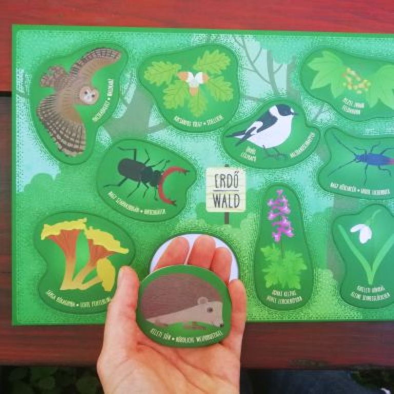 Gyűjthető élőlények - Gyűjtögetés erdőn-mezőn