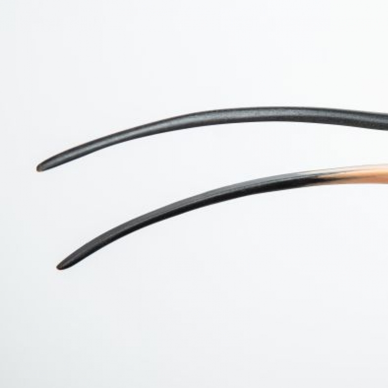 Wooden beak of common curlew – Becco di legno di chiurlo maggiore - 3