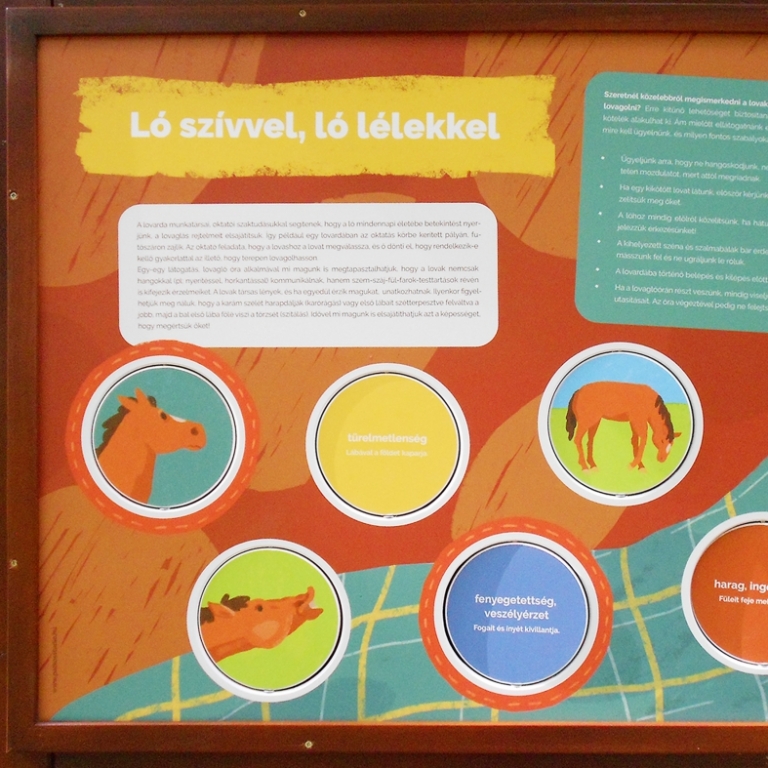 Interactive board on the emotions of the horses - Pannello interattivo sugli emozioni dei cavalli
