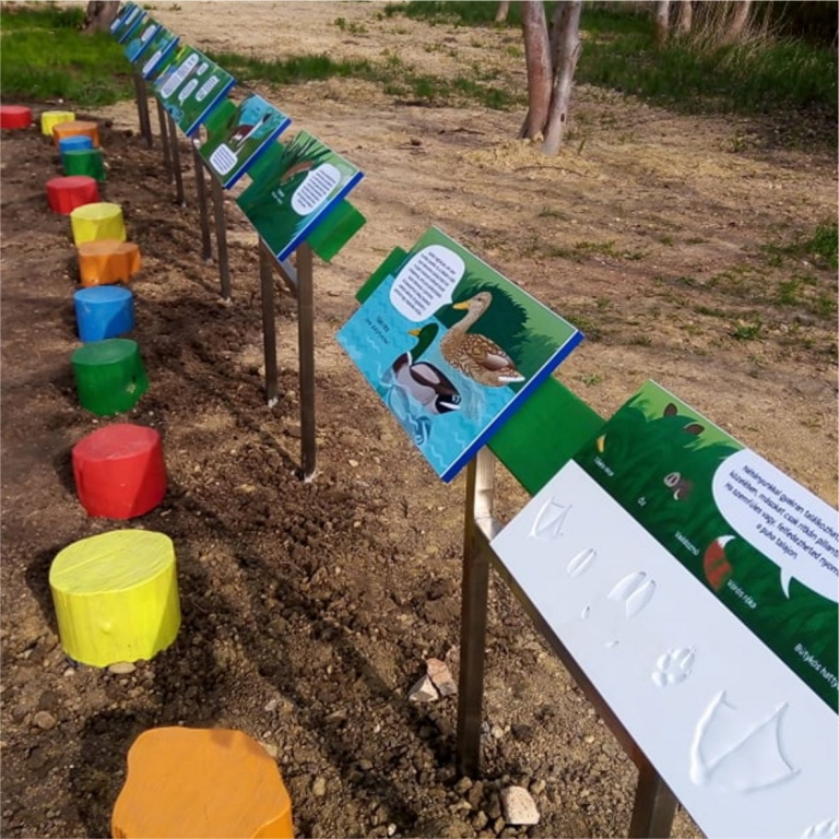 Lépegető rönkök és tanösvénytáblák a liget élővilágával