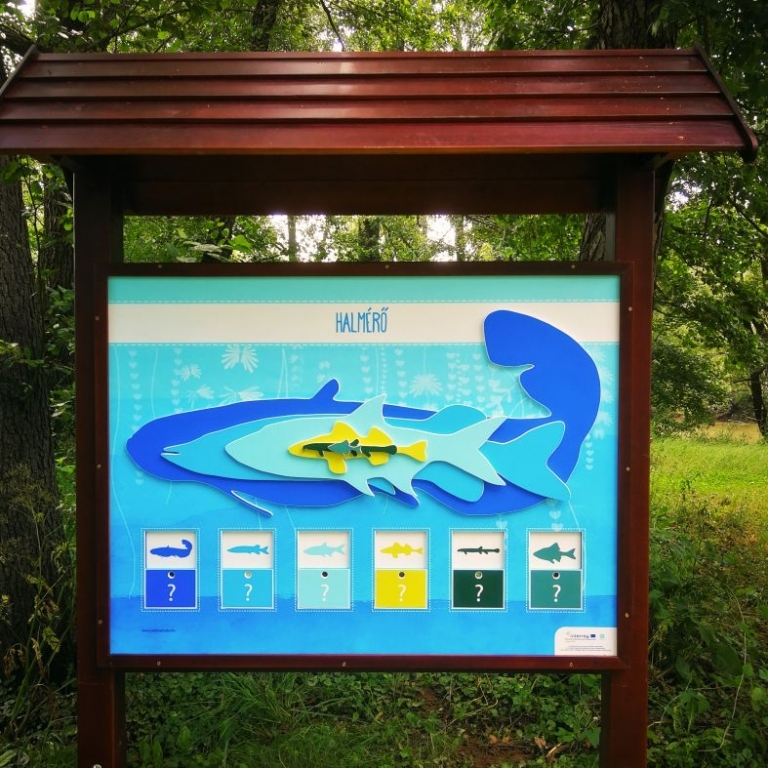 Fishes measuring - Misura pesci