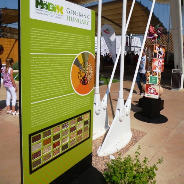 The board at the entrance - Il pannello all' entrata