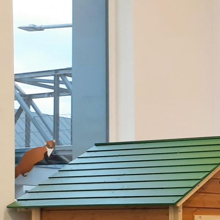 Az interaktív kiállítás - 01