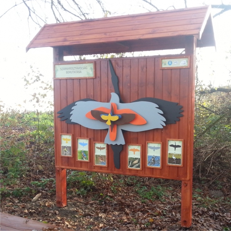 Birds measuring - Misura uccelli